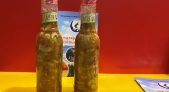 Mắm hàu Côn Đảo