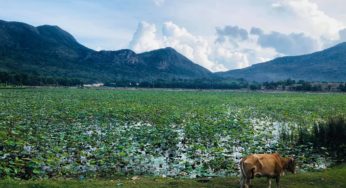 Ngọn Núi Chúa trước hồ Quang Trung ở Côn Đảo.