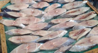 Phơi cá thu một nắng tại Côn Đảo