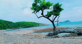 Bãi Đất Thắm Côn Đảo