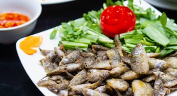 Ca-ro-dong-chien-xu