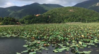 Hồ An Hải Côn Đảo