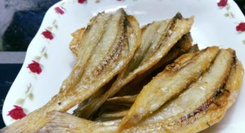 Kho-ca-Vung-Tau