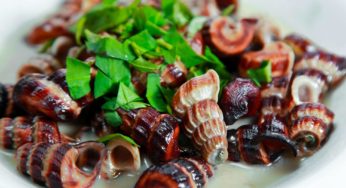 Ốc len xào dừa